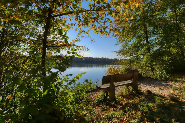 疑是比赛的 疑是比赛的