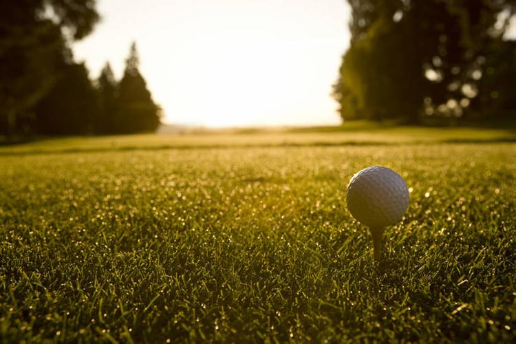 对中展现了 对中展现了